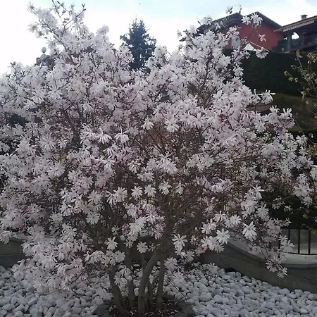 Il Quadrifoglio Διαμέρισμα