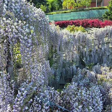 Il Quadrifoglio Pavarolo