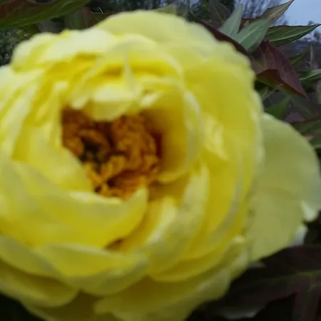 Il Quadrifoglio * Pavarolo