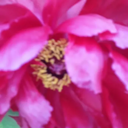 Il Quadrifoglio Διαμέρισμα