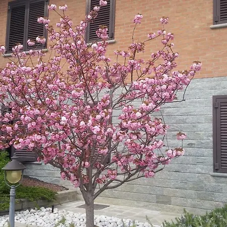 Il Quadrifoglio アパート