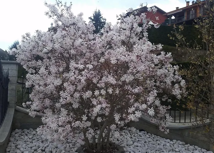 Il Quadrifoglio Apartmán