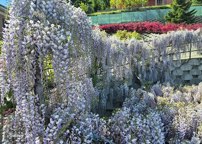 Il Quadrifoglio Pavarolo