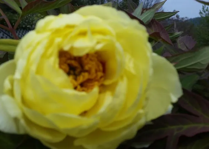 Il Quadrifoglio * Pavarolo