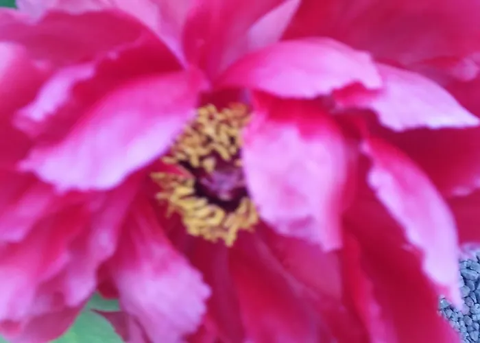 Il Quadrifoglio Apartmán