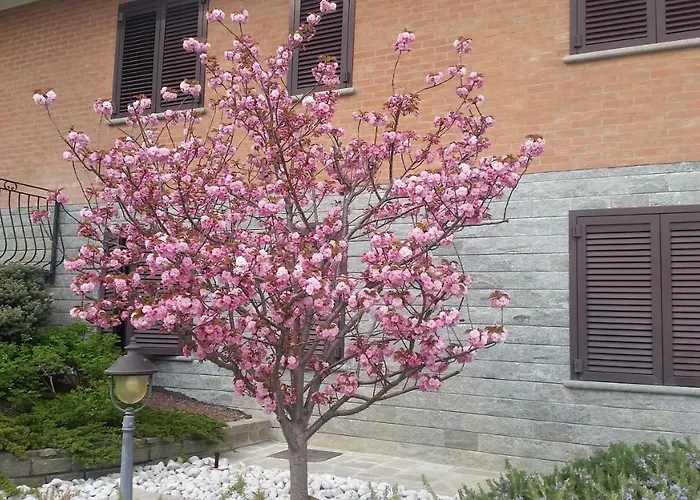 Il Quadrifoglio Apartmán